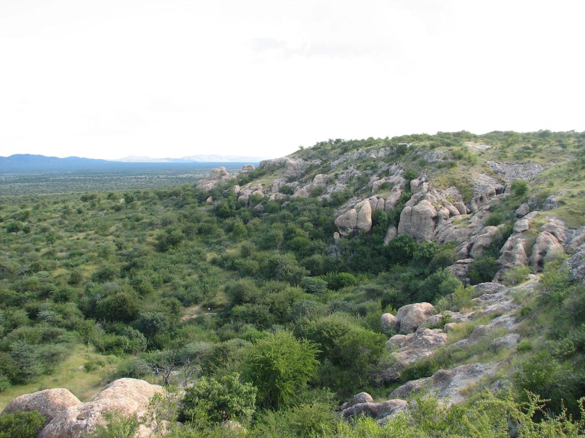 Vila Sasa Safari Camp & Tours Outjo Exteriér fotografie