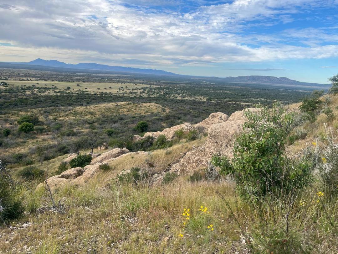 Vila Sasa Safari Camp & Tours Outjo Exteriér fotografie